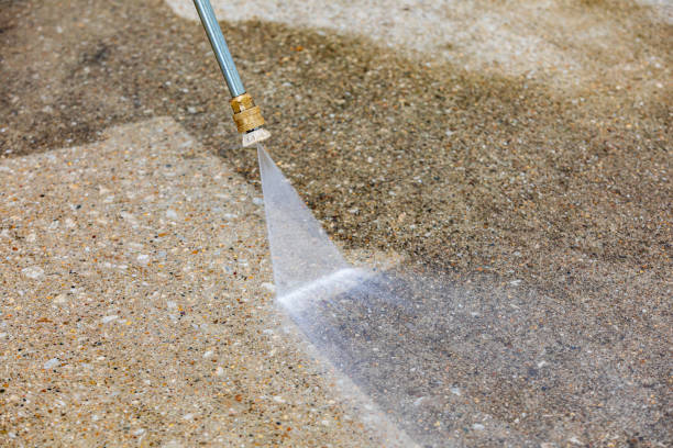 Best Building Exterior Washing  in Lake City, FL