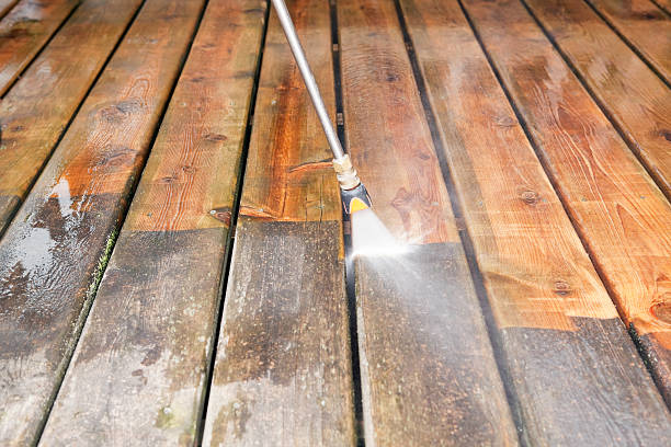 Best Dumpster Area Cleaning  in Lake City, FL